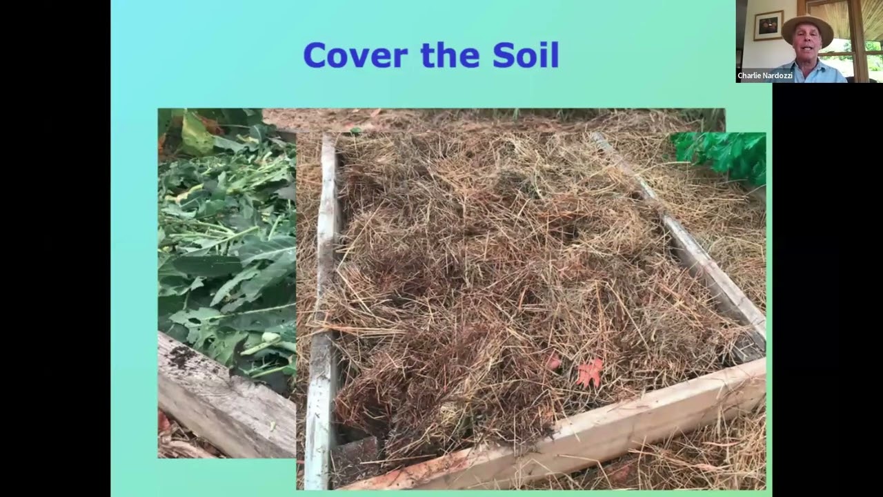 The Continuous Vegetable Garden
