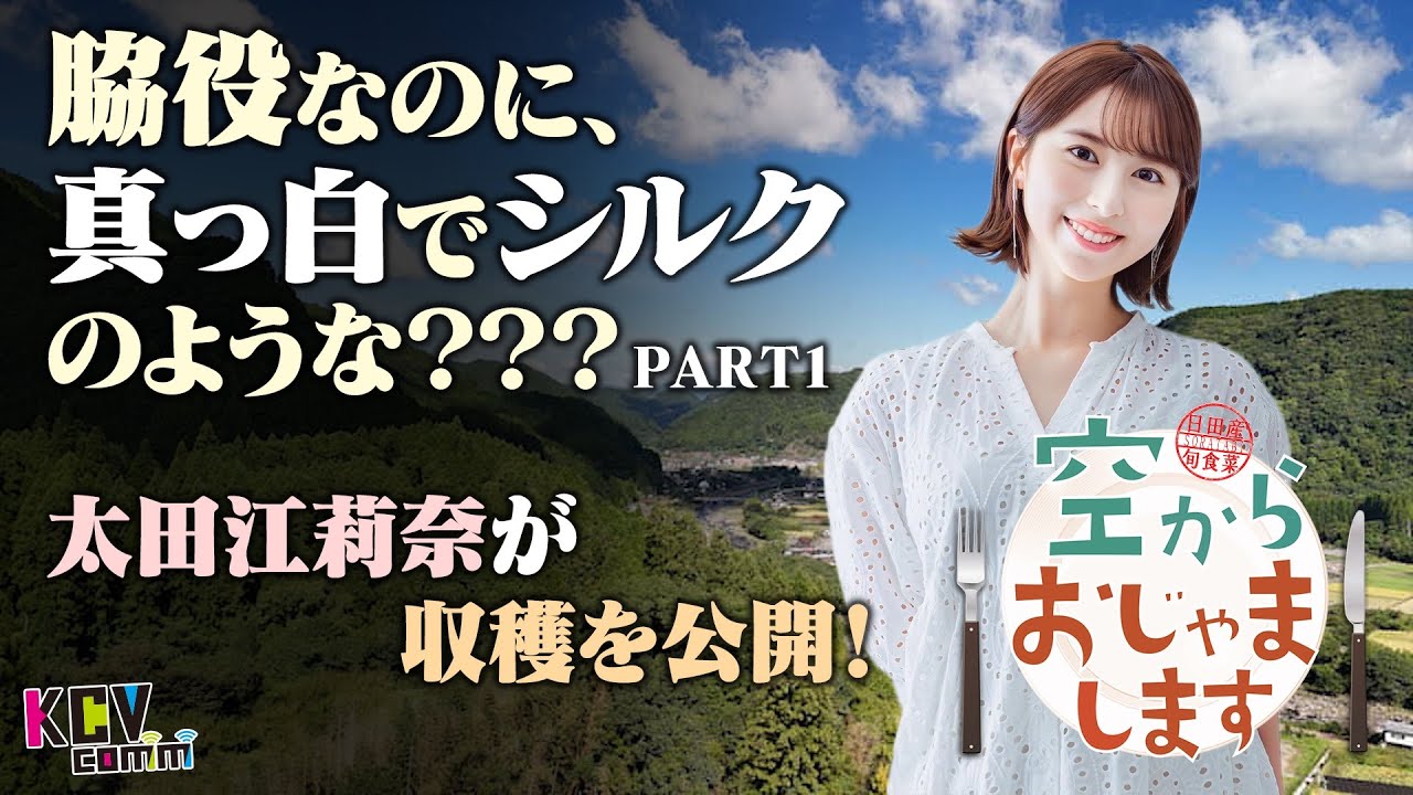 【KCV_Hita】空からおじゃまします#3「大山エノキ」01_2024年10月
