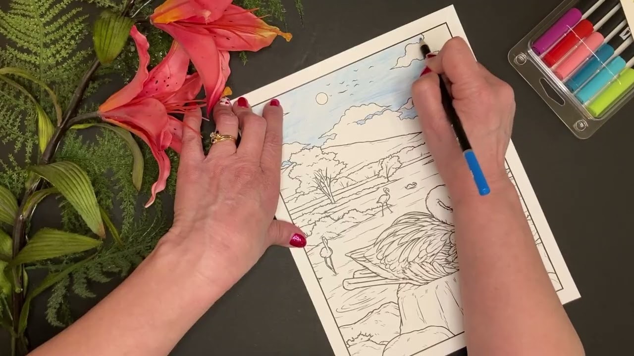 Relax & Color, African Wildlife Mamas and their Babies -  Flamingos Color Reel – Part 1