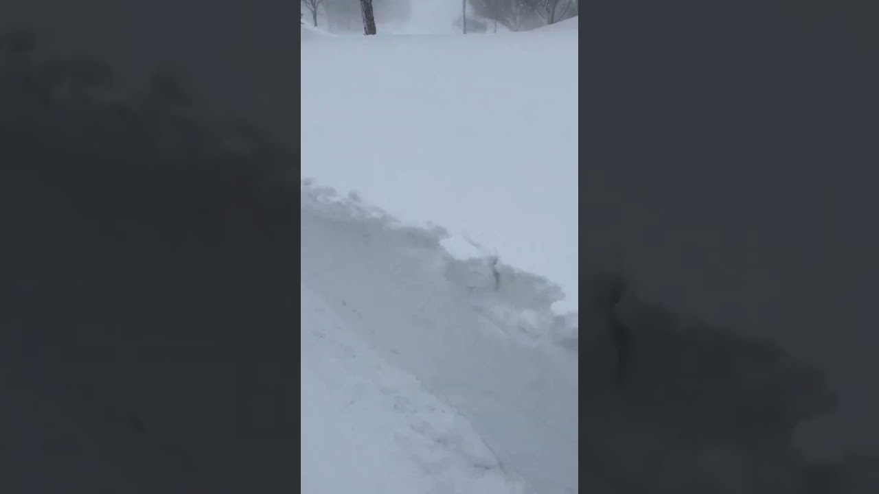 Buffalo Blizzard! 12/24/22 2pm update #shorts