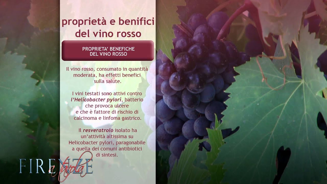 Il vino del Chianti