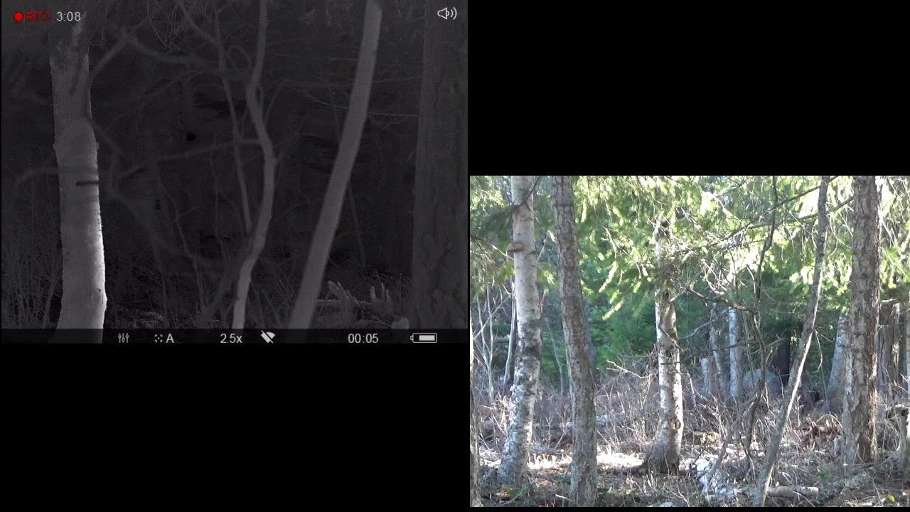 Defeating thermal scopes by cheap, common, field-expedient means.