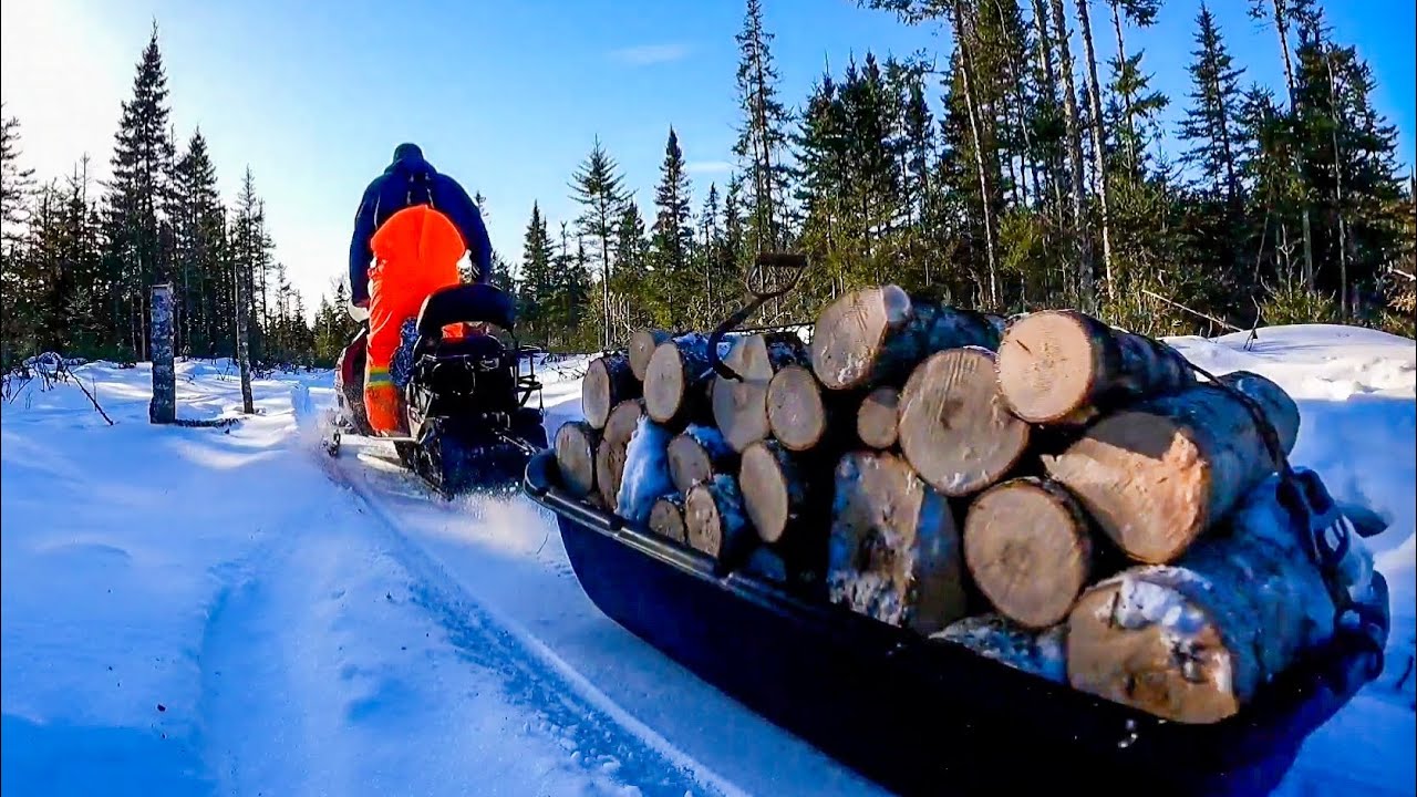Hauling Firewood with Snowmobile. Providing Heat For Next Winter!