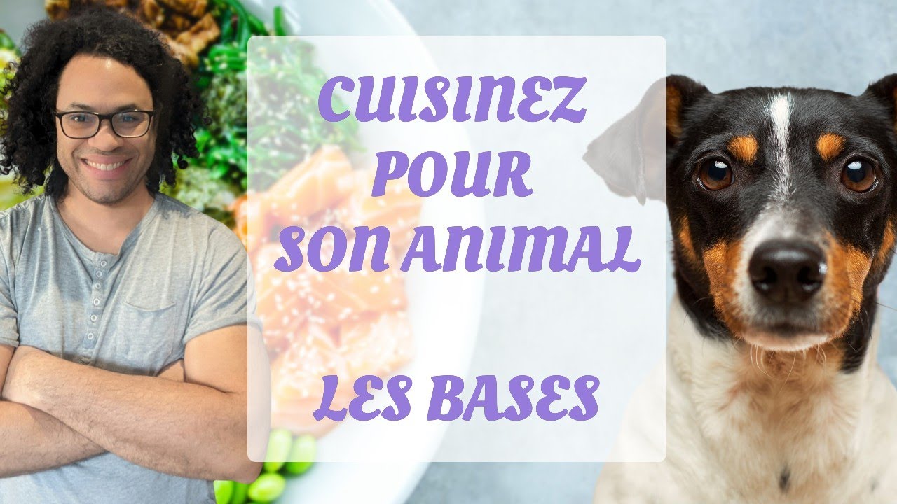 L'Essentiel sur la Ration Ménagère pour Chiens et Chats