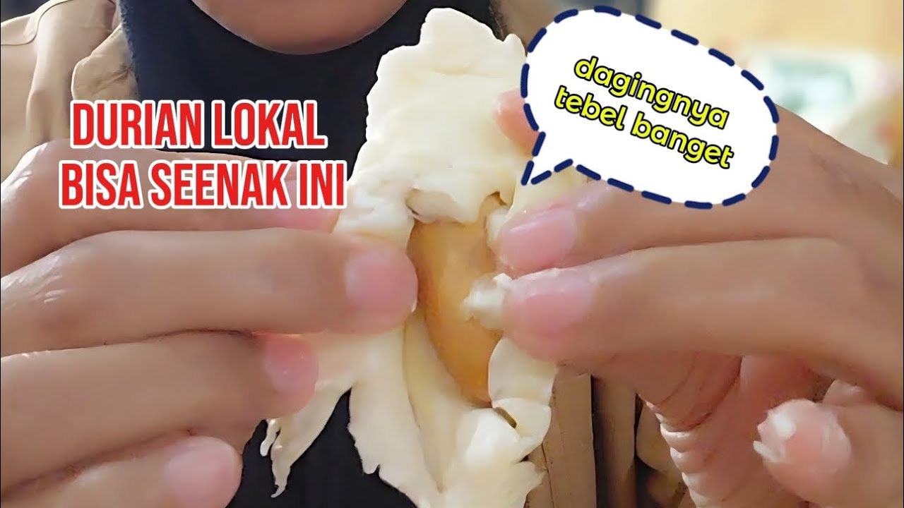 Dagingnya tebel rasanya manis || durian lokal kediri gak kalah enaknya