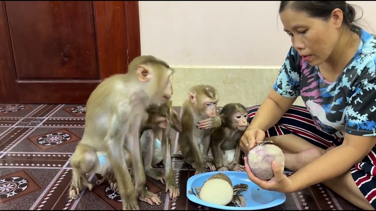 HURRYYY !! Sovan So Hungry Can't Wait Loudly Hurry Mo  Faster Please Mouth Watering So Much !