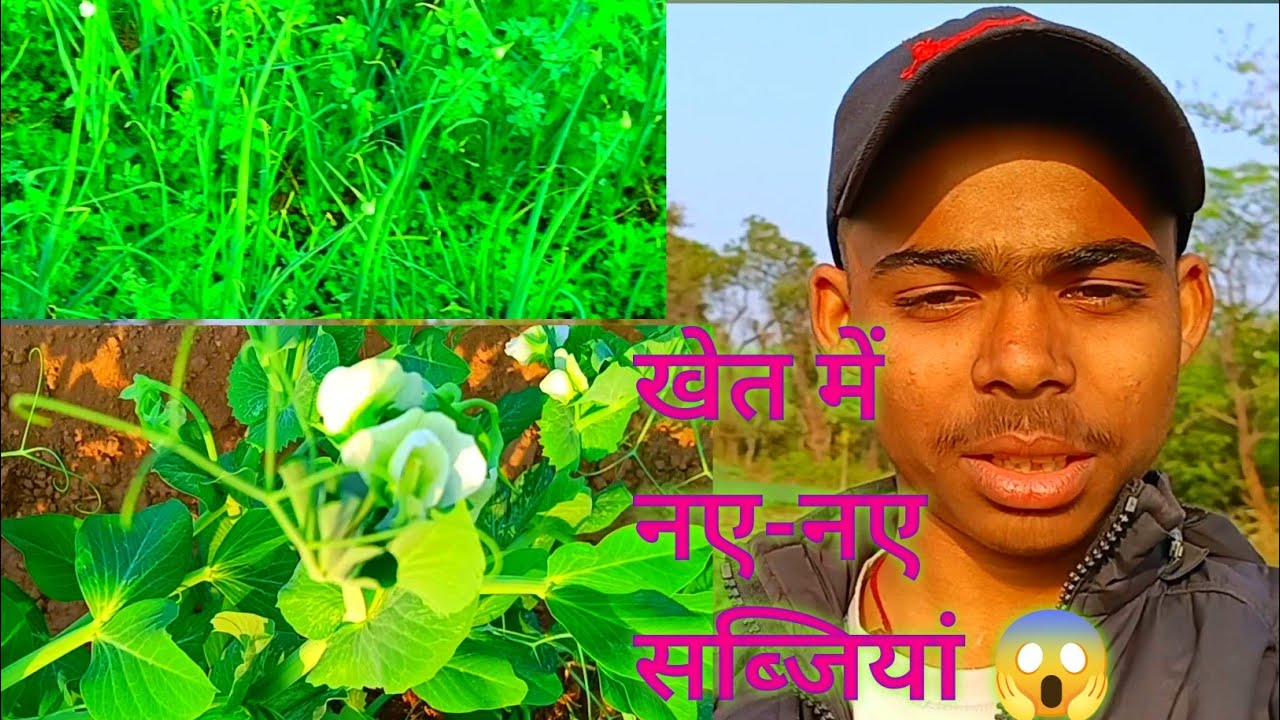खेत में नए नए सब्जियां 😱😱😱#vlog#vlogging#khet#kheti#k