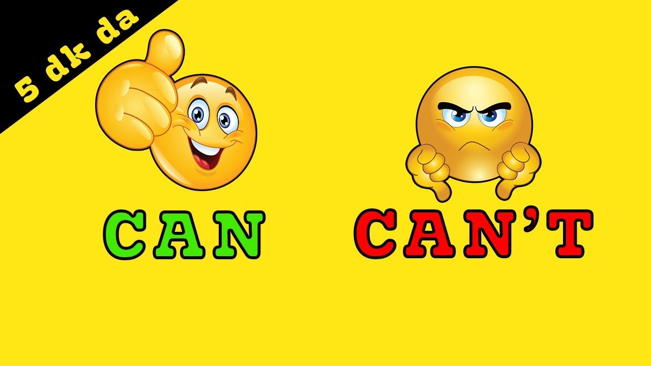 5 DAKİKADA CAN CAN'T KONU ANLATIMI
