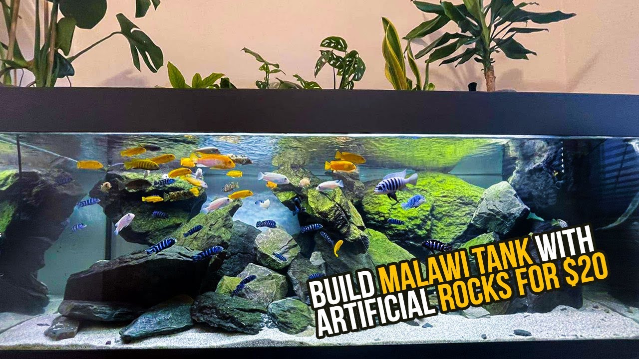 How i bulid hyperrealistic Malawi tank with artificial rocks for $20