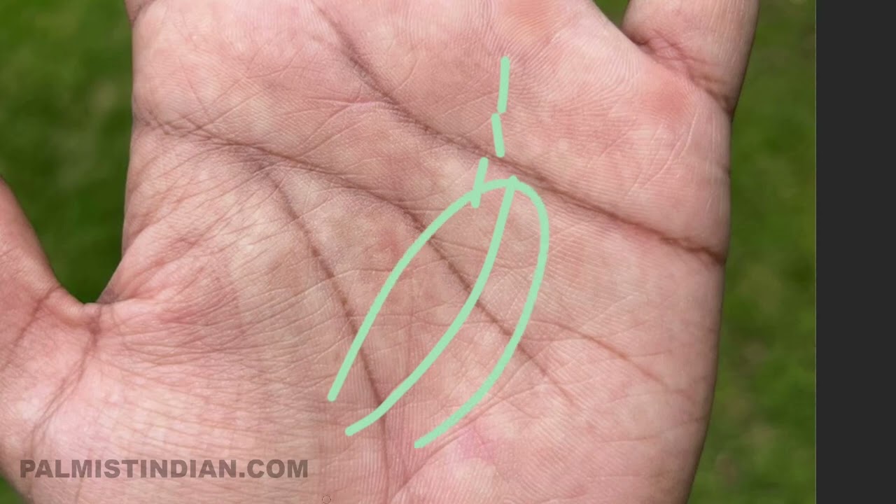 Rare Headline in Palmistry! Learn Hasthrekha #palmistrymanish