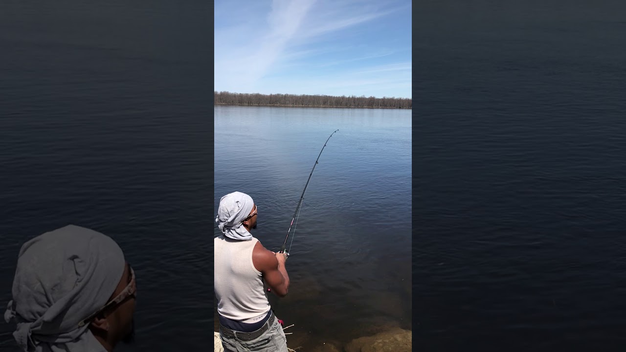 Monster Sturgeon Ottawa
