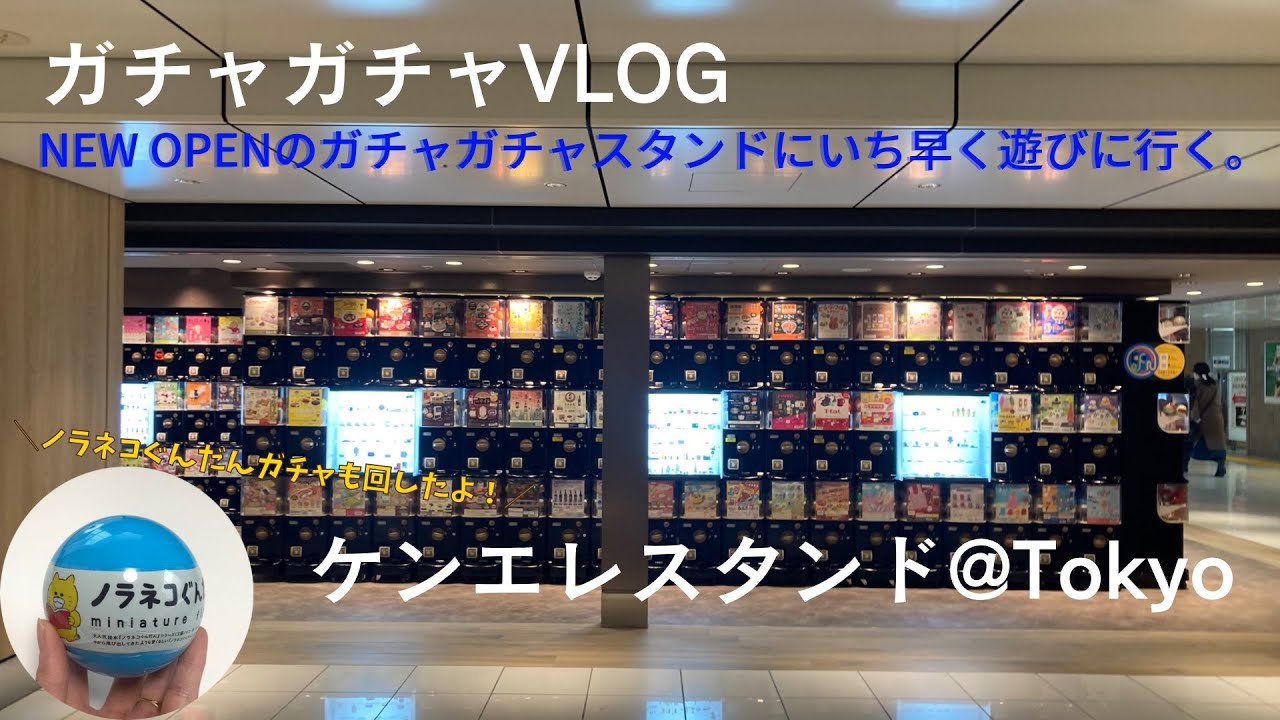 【ガチャガチャ】NEWオープンのガチャガチャスタンドに行ってきた！新発売ノラネコぐんだんもゲット♪vlog