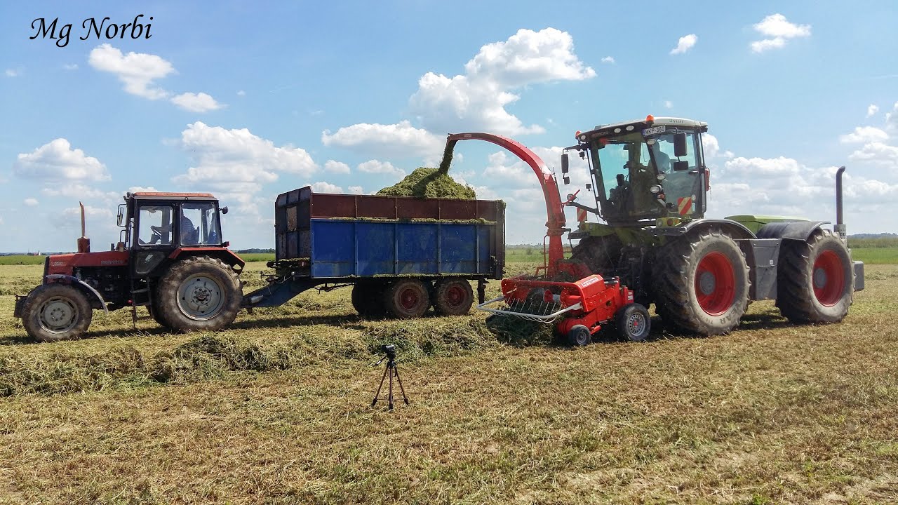 Pinkamenti Agrár Kft. 2016 Lucerna silózás ( Claas Xerion 3800+Kemper Champion 3000, 6x MTZ)