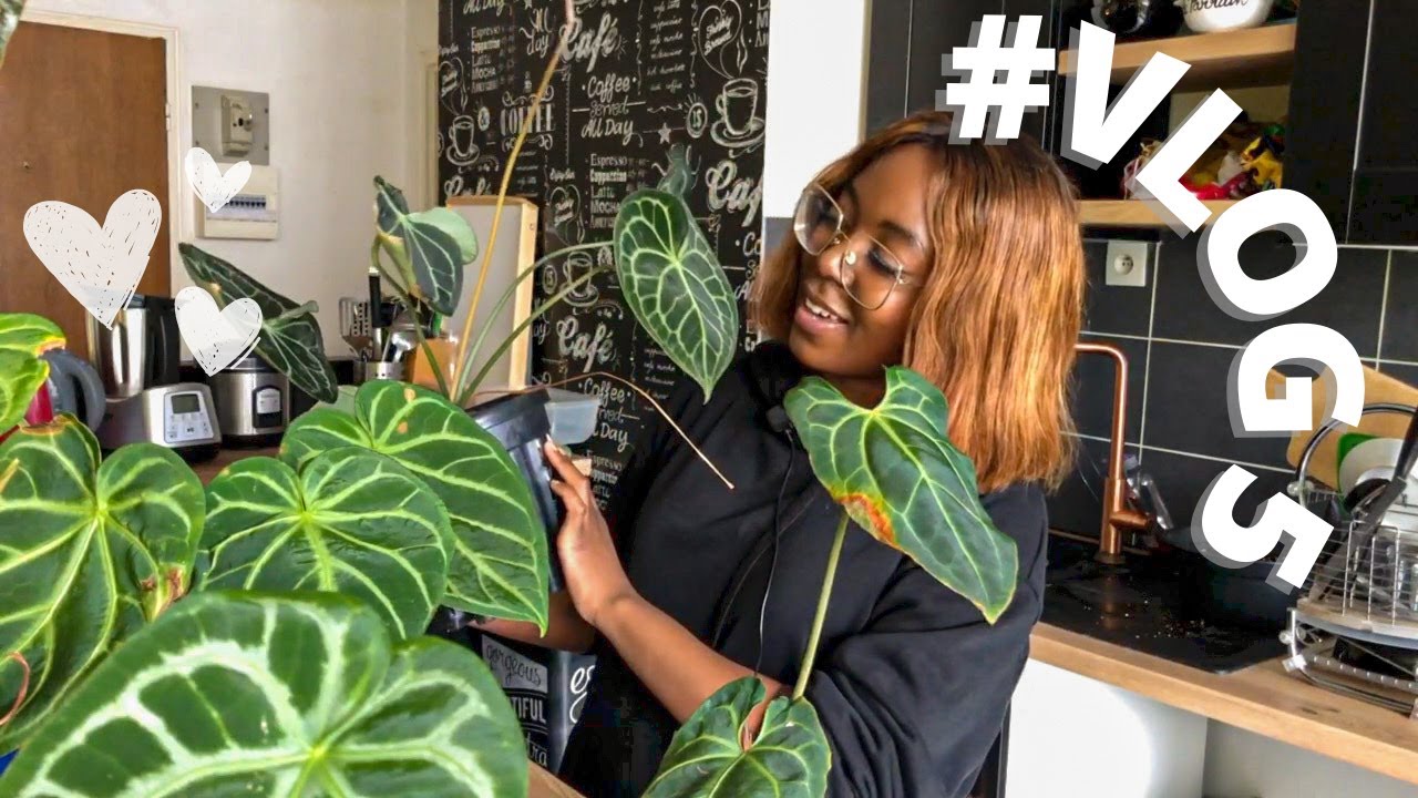 #Vlog 5 : Retour sur le PON +  les Airpots et je plante mes Caladiums #LePrintempsArrive