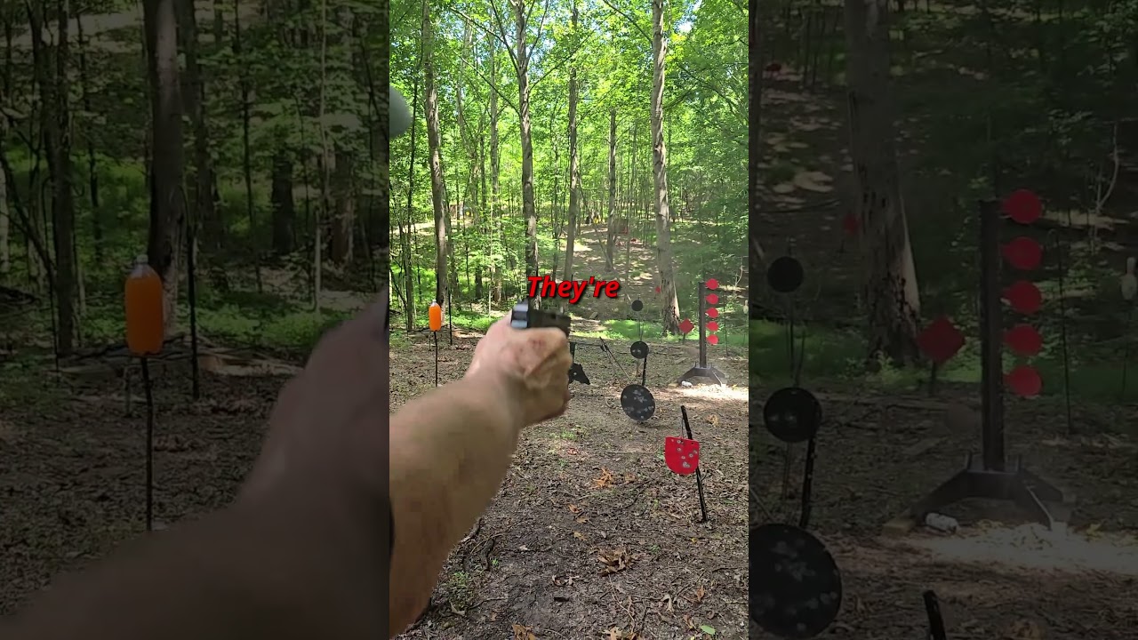 Ruger RXM Vs Shooting Tree