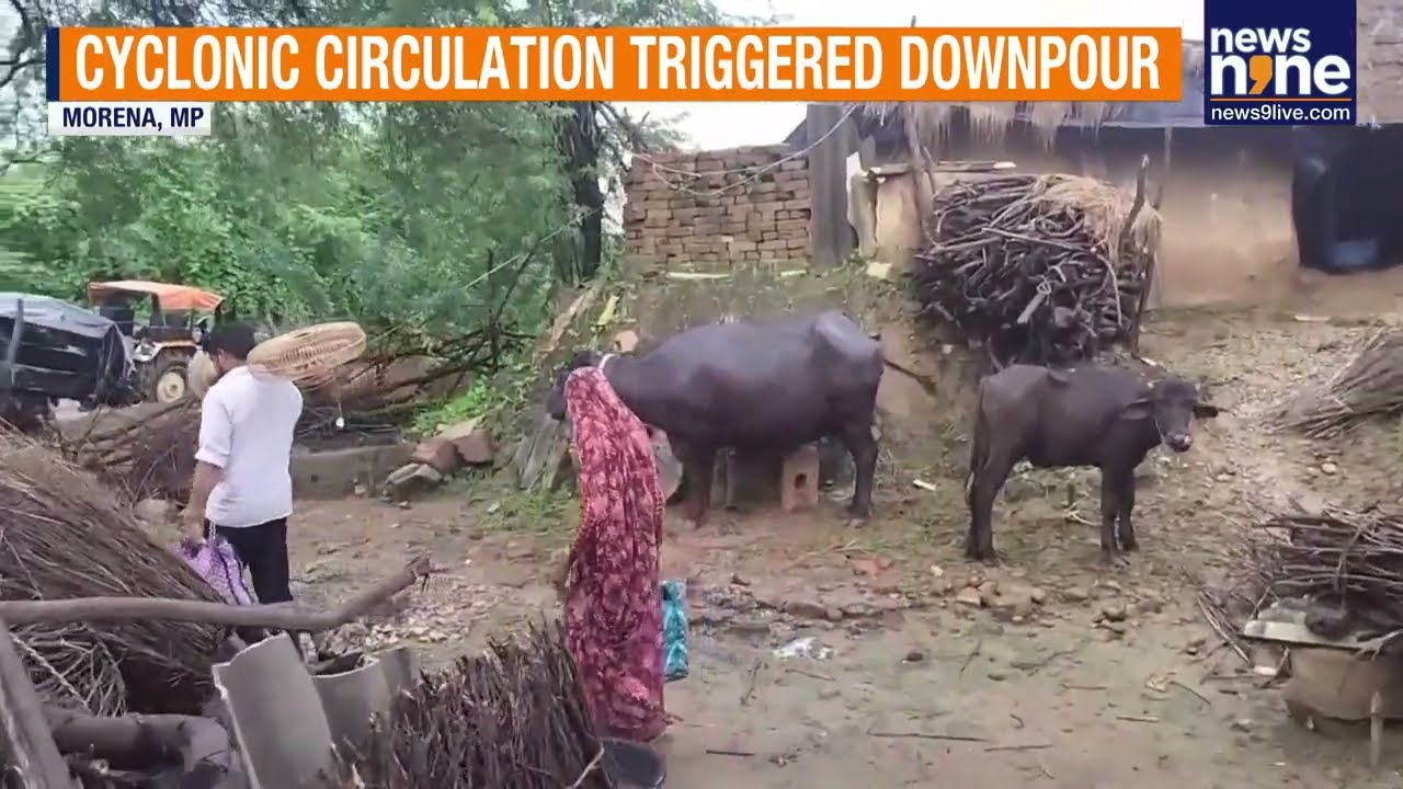 Madhya Pradesh Rain Alert: Schools Shut, 12 Districts on High Alert | Weather Alert | News9