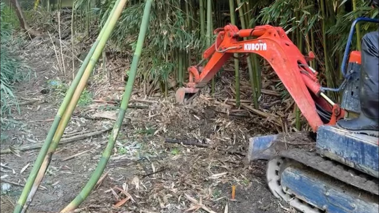 Live: Battle of the Backyard: Excavator vs Nature #1 | God of Ruin akkiro0m