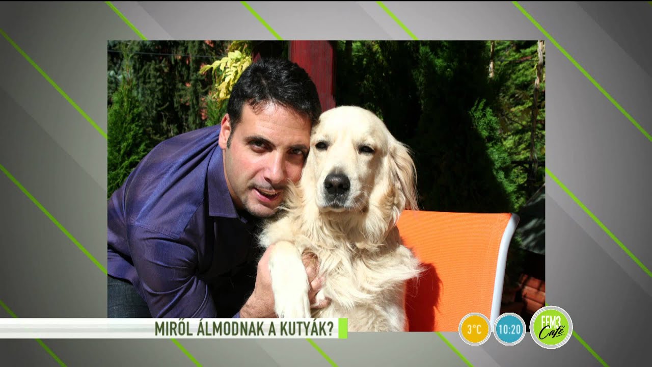 Miről álmodnak a kutyák? - 2015.11.04. - tv2.hu/fem3cafe