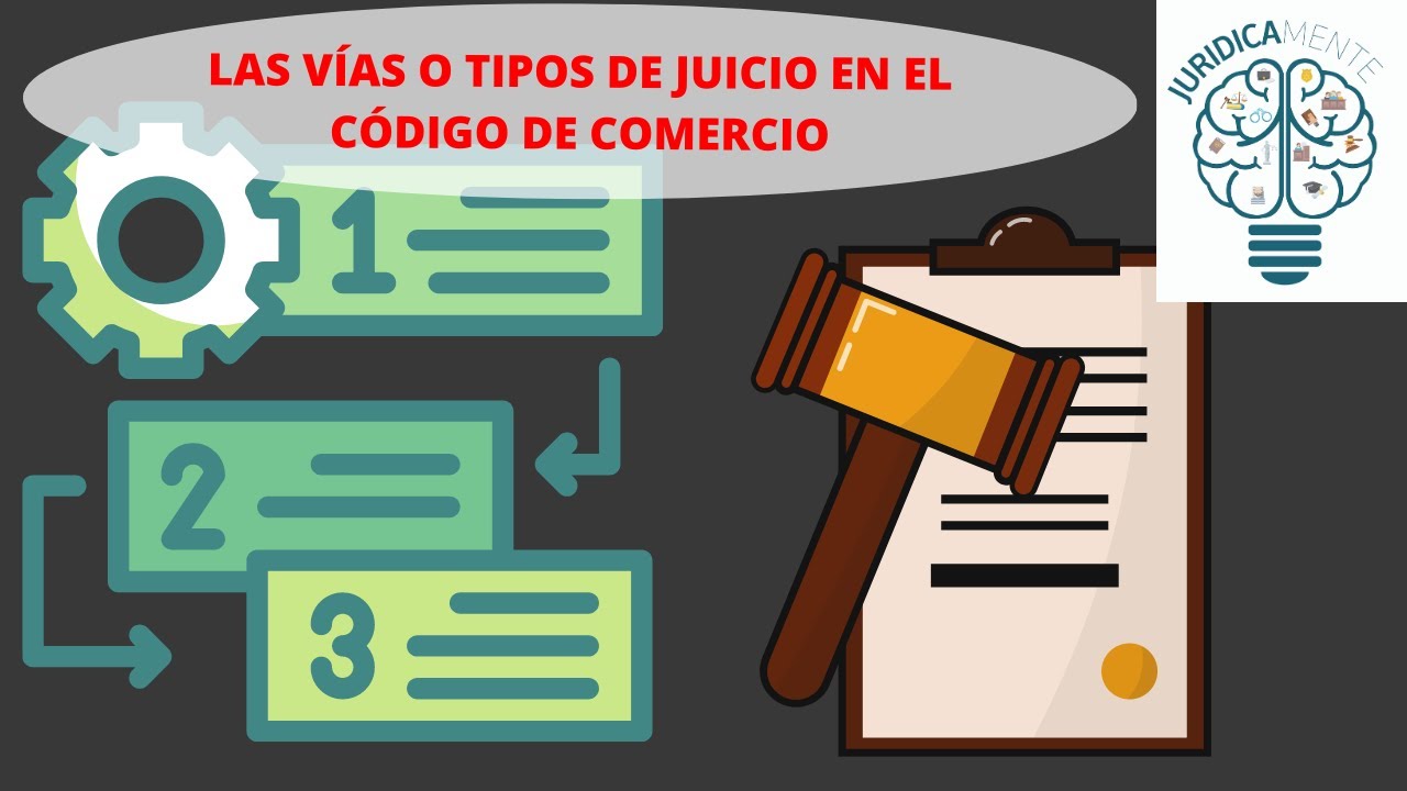 LAS V&Iacute;AS O TIPOS DE JUICIO EN EL C&Oacute;DIGO DE COMERCIO