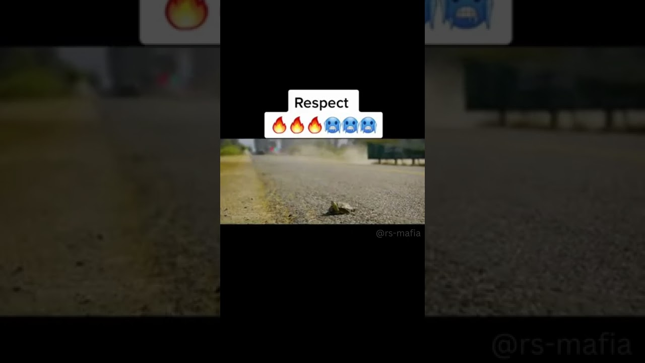 Respect videos like a boss! 😱😈😲 | Tik-Tok | Try not to laugh.......