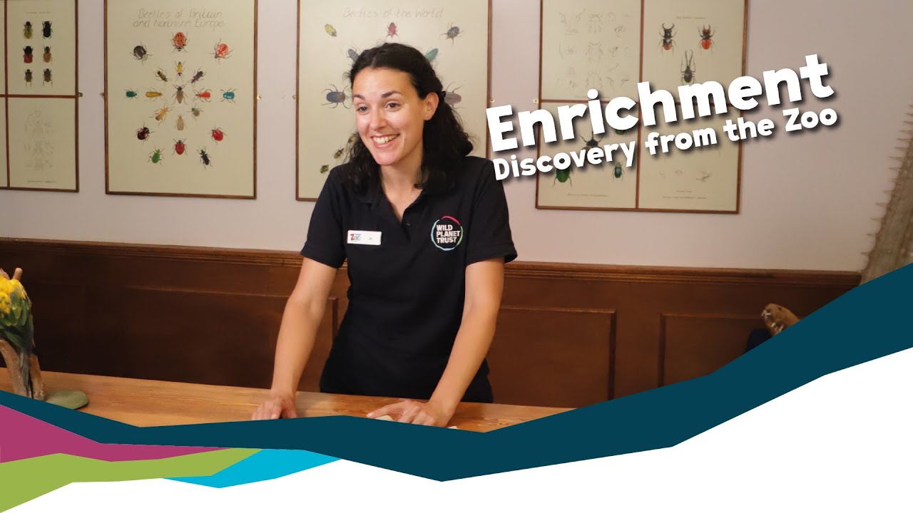 Animal Enrichment - Discovery from the Zoo