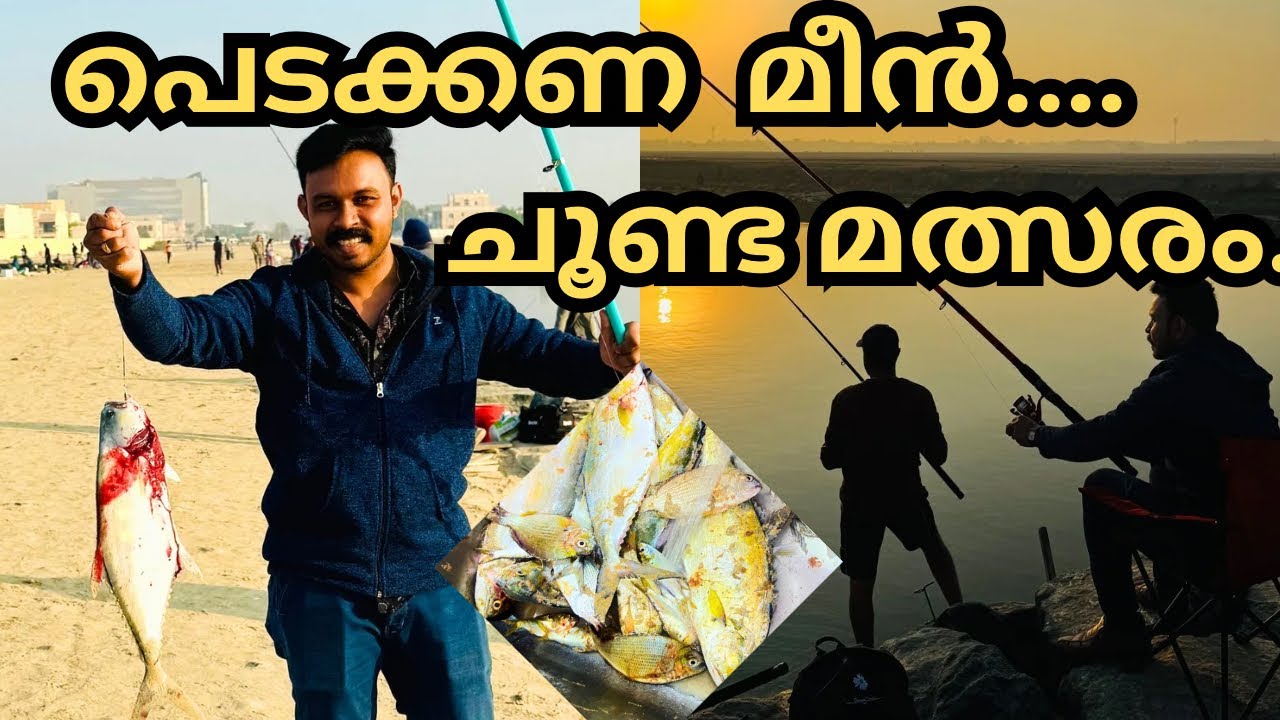 ഇവിടെ പുലർച്ചെ വന്നാൽ മീൻ മത്സരം വച്ചു പിടിക്കാം | Best Fishing Spot in UAE