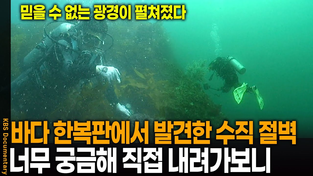 한반도 바다 유일 수중 절벽을 발견했다.. 너무 궁금해 직접 내려가 봤더니 | KBS 환경스페셜 20080514 방송