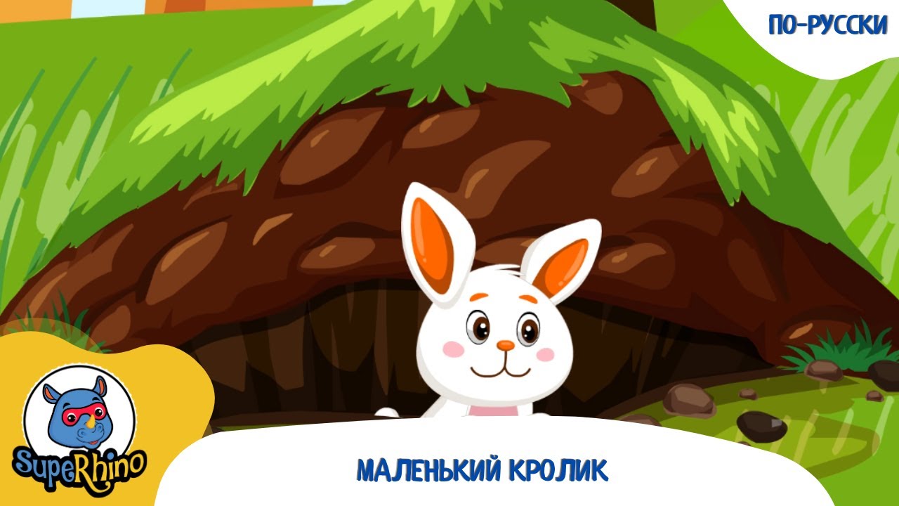 Маленький кролик | Детские песни | SupeRhino!