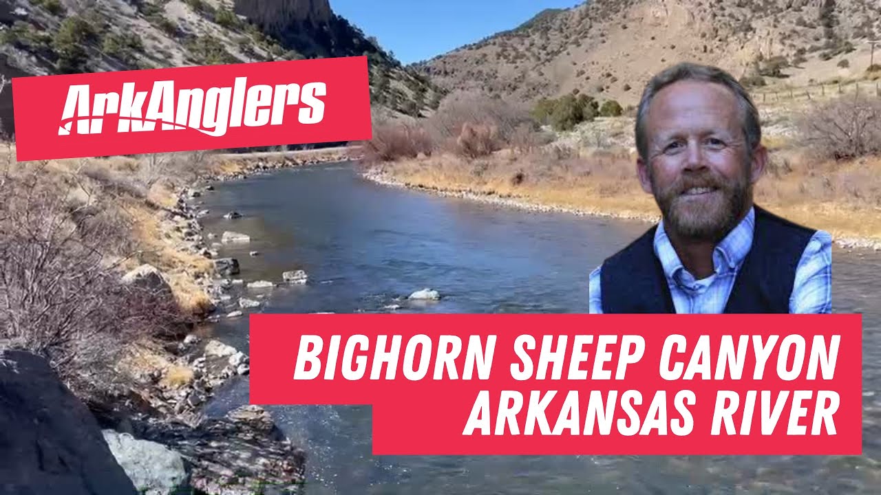ArkAnglers Arkansas River Fishing Report from Bighorn Sheep Canyon - Low Water Favors Brown Trout