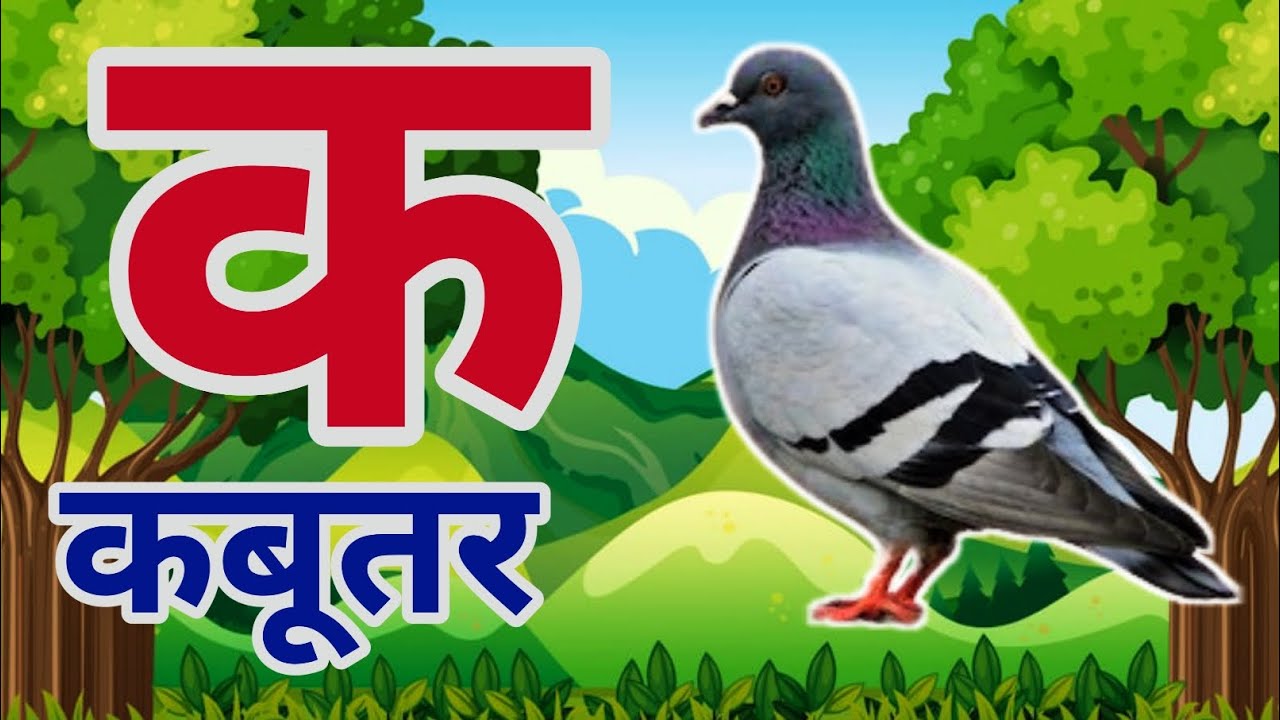 क से कबूतर🕊️ | ka se kabootar | Hindi Varnmala for kids | kids Learning Video | Alphabet in Hindi
