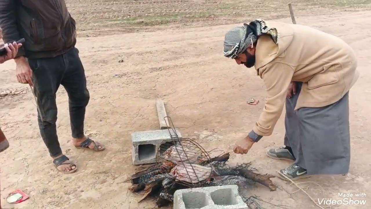 زرع الطيب ٢٠٢٦/١/١١