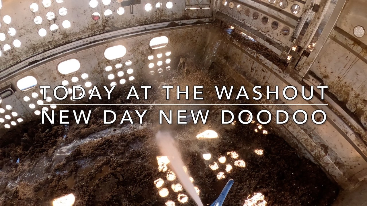 New day new doodoo (Cattle Washout ASMR Ep. 31)