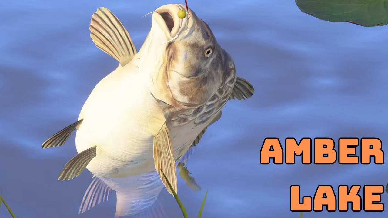 AMBER LAKE CARP SPOT NO PVA (272) Russian Fishing 4 RF4