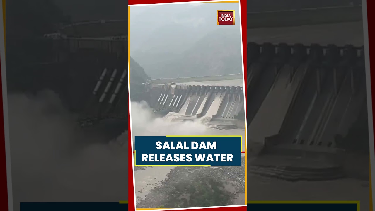 Viral Video: Salal Dam Gates Open In J&K As Heavy Rainfall Swells Water Inflow #viralvideo #shorts
