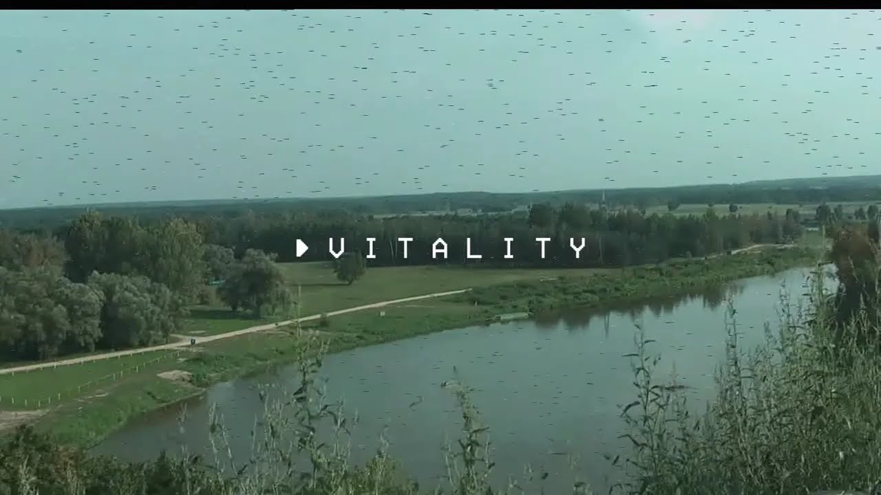 MatFly x Hazy Hype - Vitality