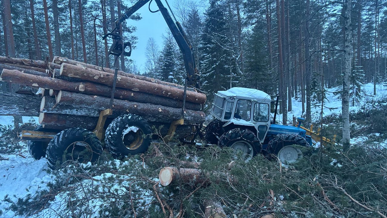 Hogst & kjøring av kappet tømmer, Langtjenn logging