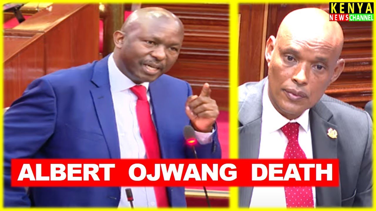 'SASA UTUONYESHE HIZO CCTV ZA DCI' Senator Omogeni tells Amin on Albert Ojwang Death in Senate