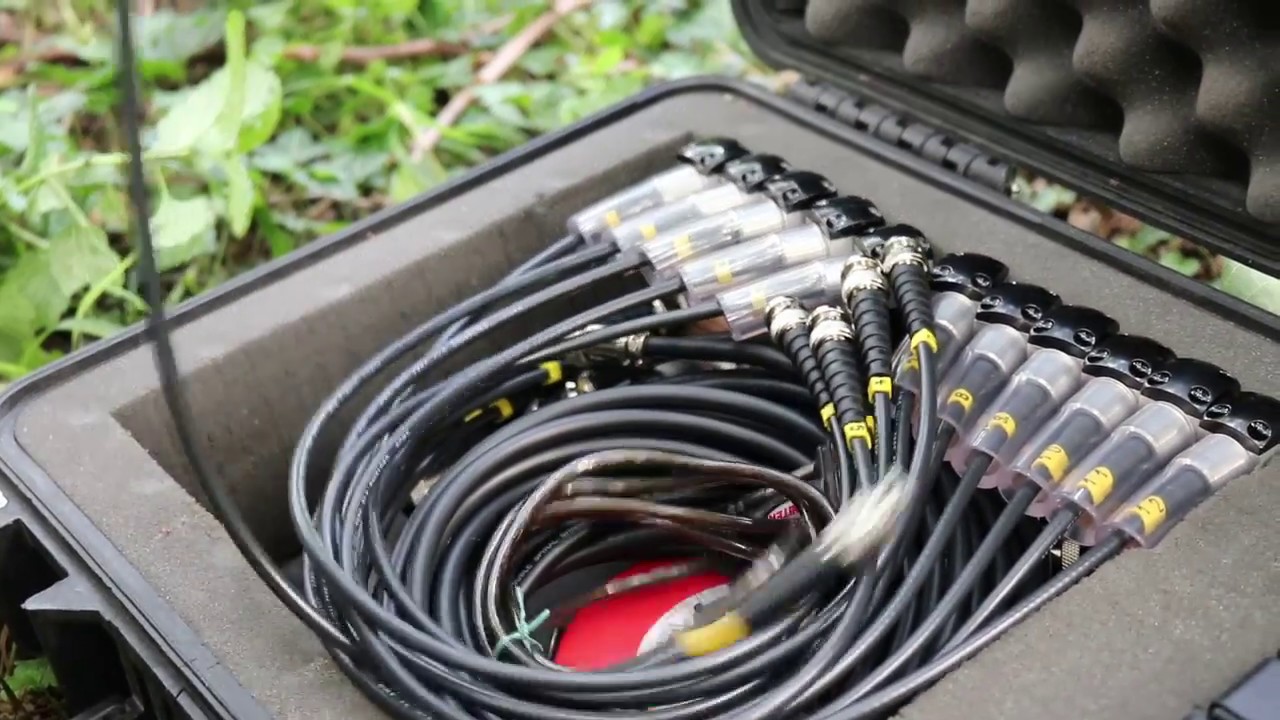 ArborSonic 3D - 001 Arrival and set up