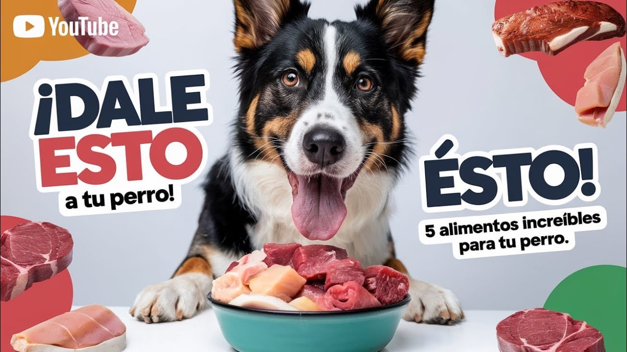 🍳🐶 Estos 5 alimentos HUMANOS son oro puro para tu PERRO 🥩✨
