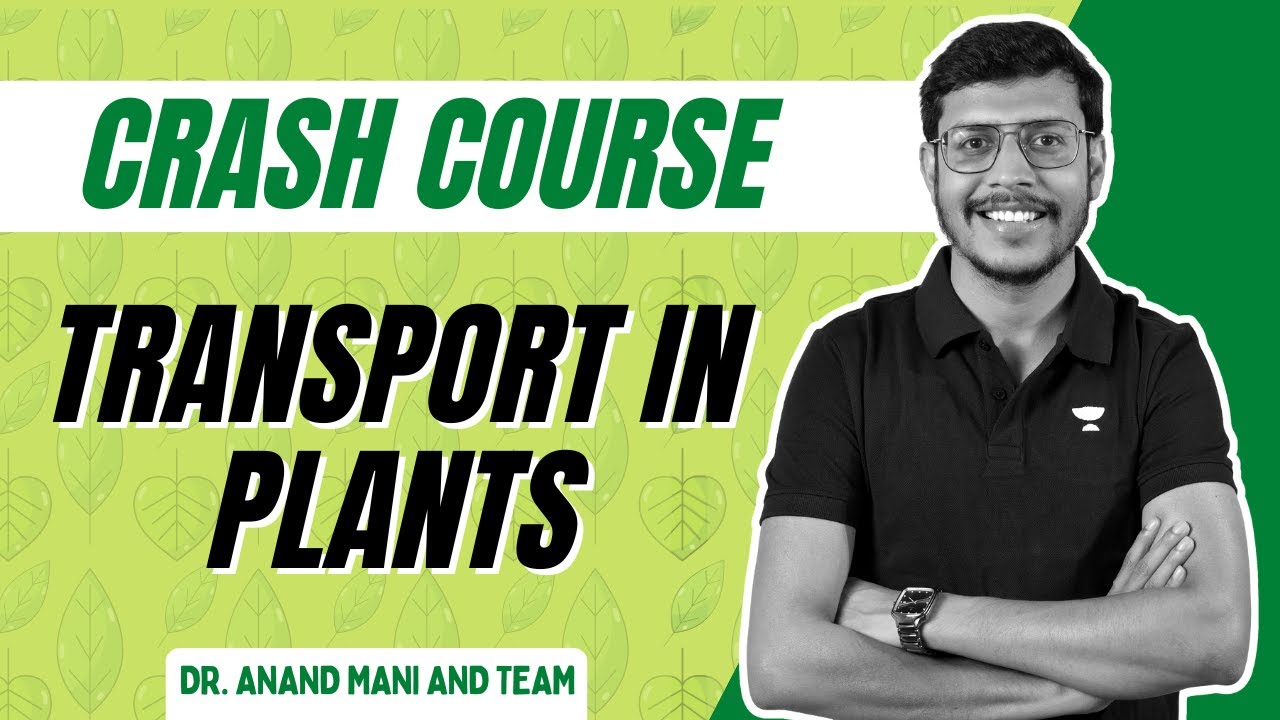 Transport in Plants | Biology Crash Course | NEET 2024 | Dr. Anand Mani