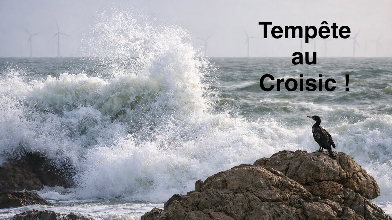 Le Croisic dans la tempête ! 