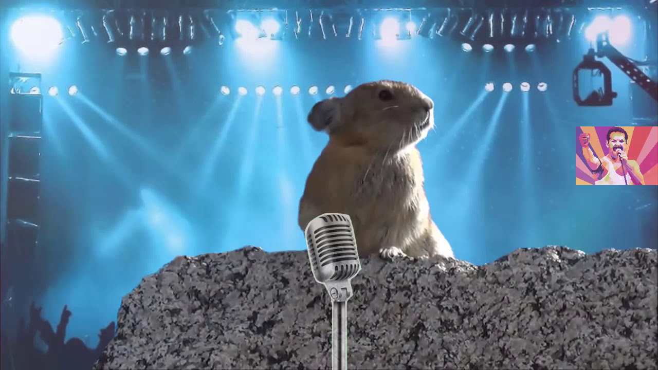 Pikamercury 2.0