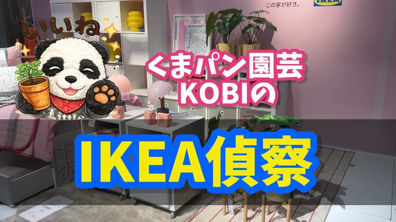 【イケア偵察】知らないと損！IKEAの植物＆新作園芸雑貨が可愛すぎた #観葉植物 #houseplants #ikea 