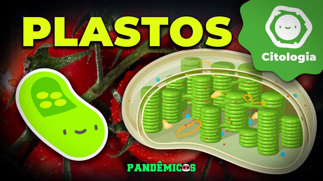 Plastos (Cloroplasto, Leucoplastos e etc)