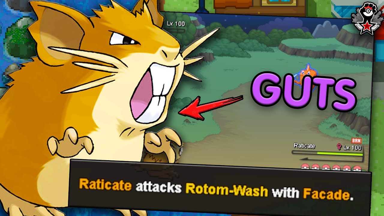 RATICATE STRIKES AGAIN! | Pokemon Revolution Online PvP