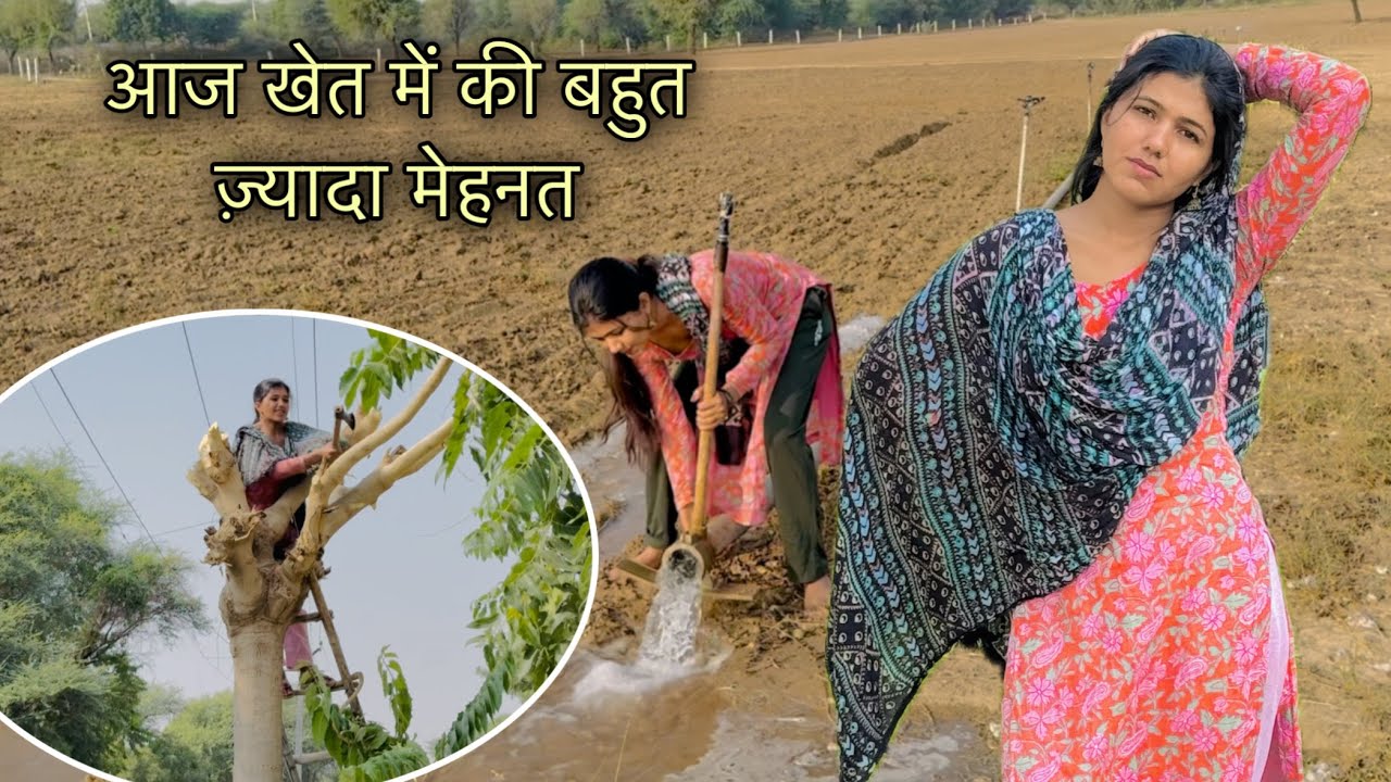 Beautiful Girl Worked Very Hard in the Fields 😓 || Manvi Singh Vlogs || #vlog 