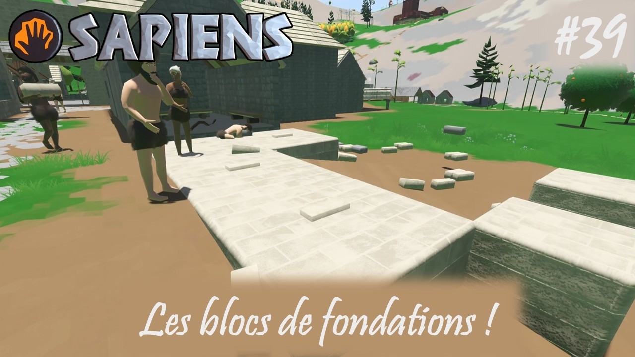 Les blocs de fondations ! #Sapiens
