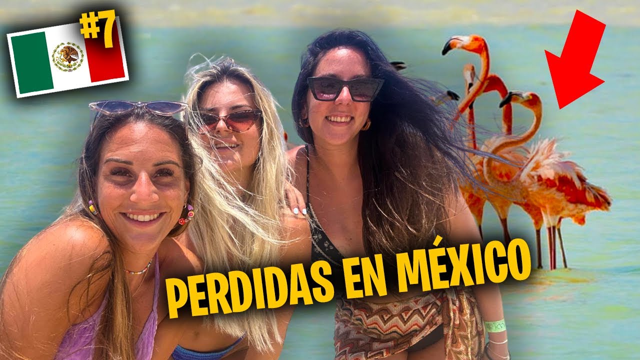 VIAJE A CANCÚN DÍA 7 - EN BUSCA DE FLAMENCOS