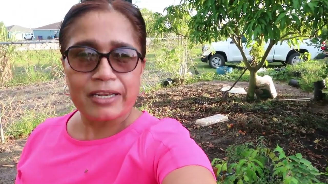 Guyanese Summer Garden in Florida