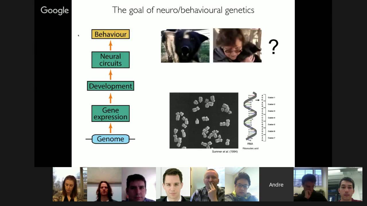 OpenWorm Journal Club: Body Language of a Worm